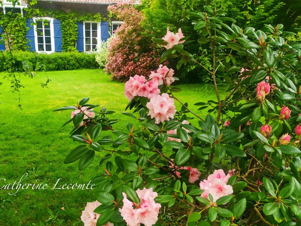 Haus in Samer, Pas-de-Calais - Foto 2