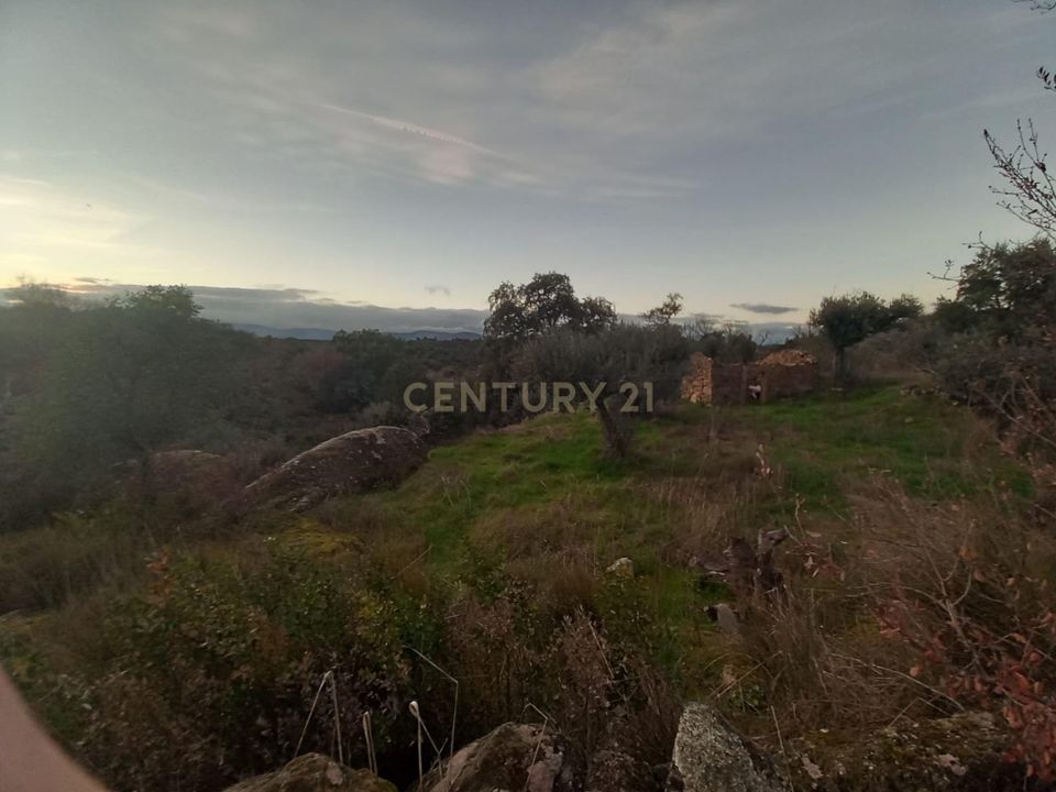 Helårsgrund i Idanha-a-Nova, Castelo Branco - foto 2
