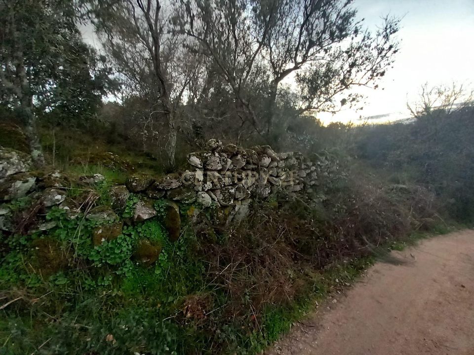 Helårsgrund i Idanha-a-Nova, Castelo Branco - foto 3