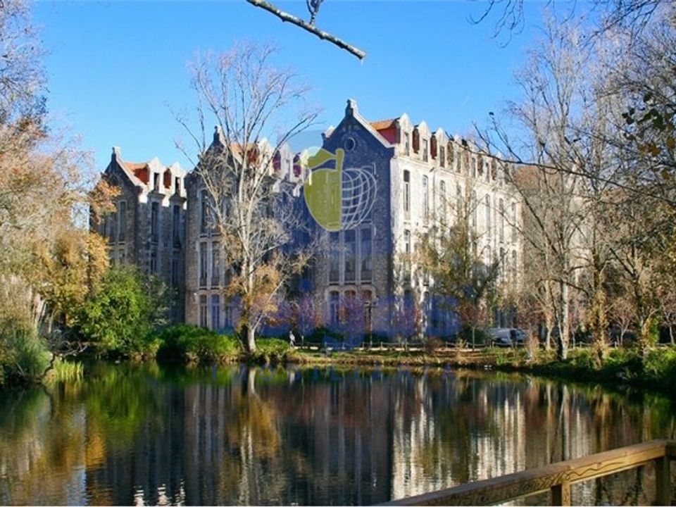 Lejlighed i Caldas da Rainha, Leiria - foto 4