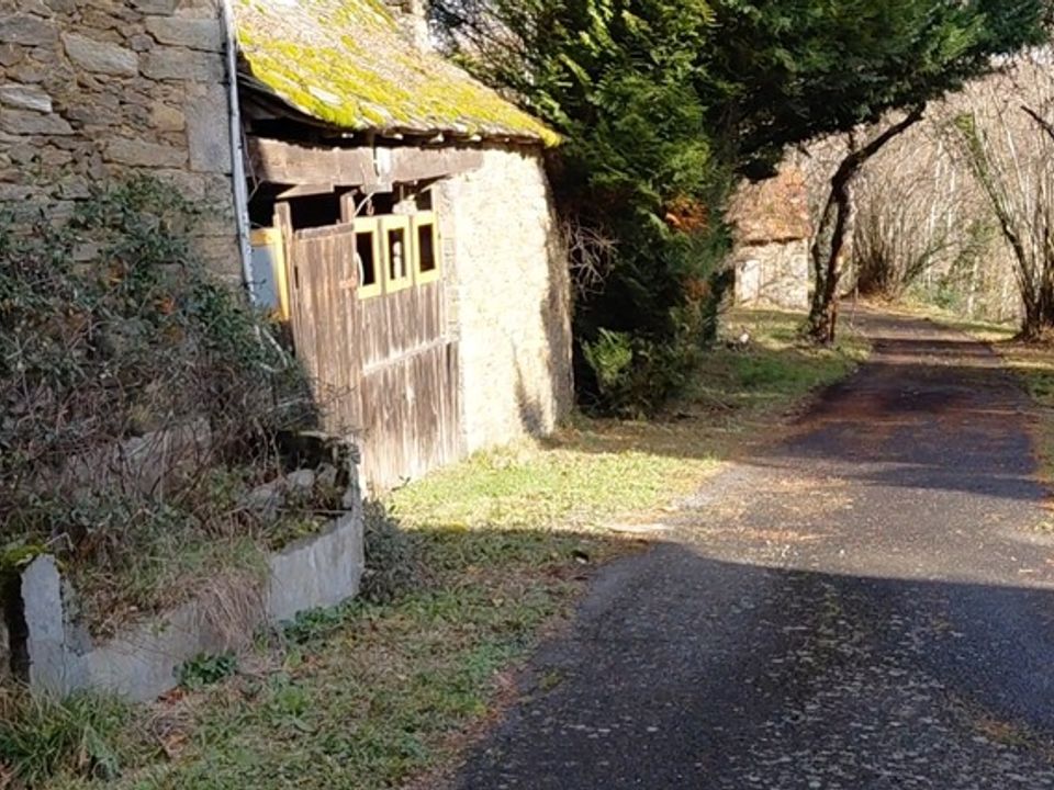Boerderij in Vieillevie, Cantal - foto 1