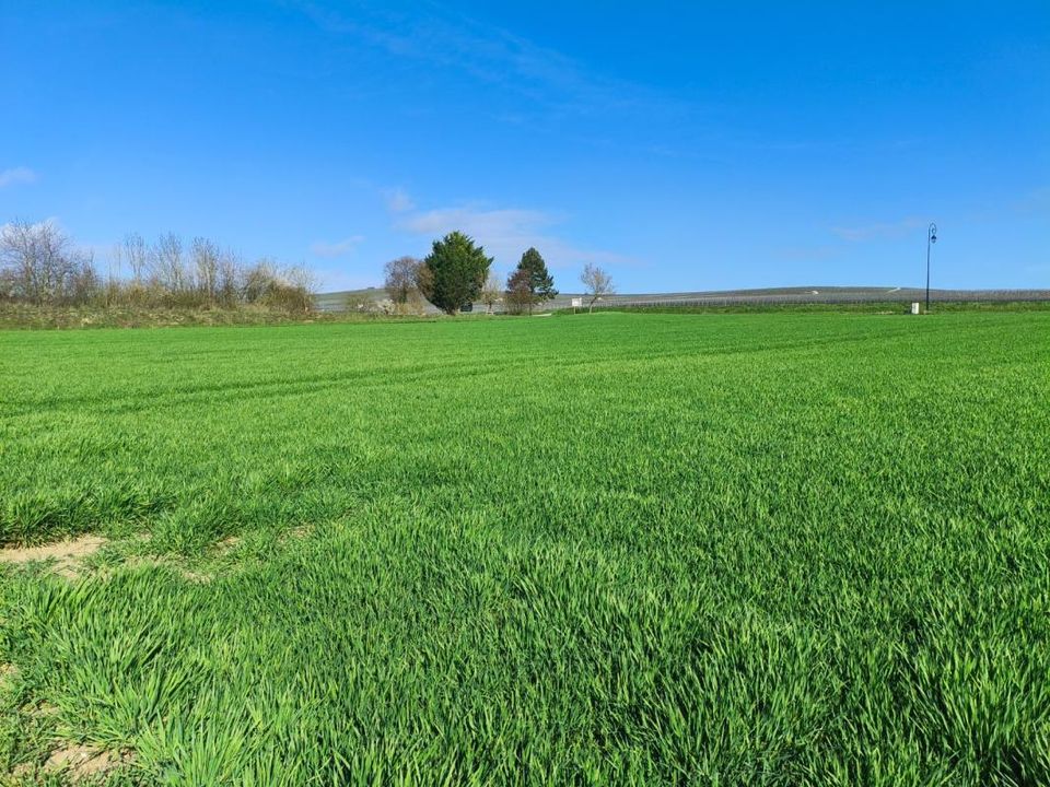 Helårsgrund i Vaudemange, Marne - foto 2