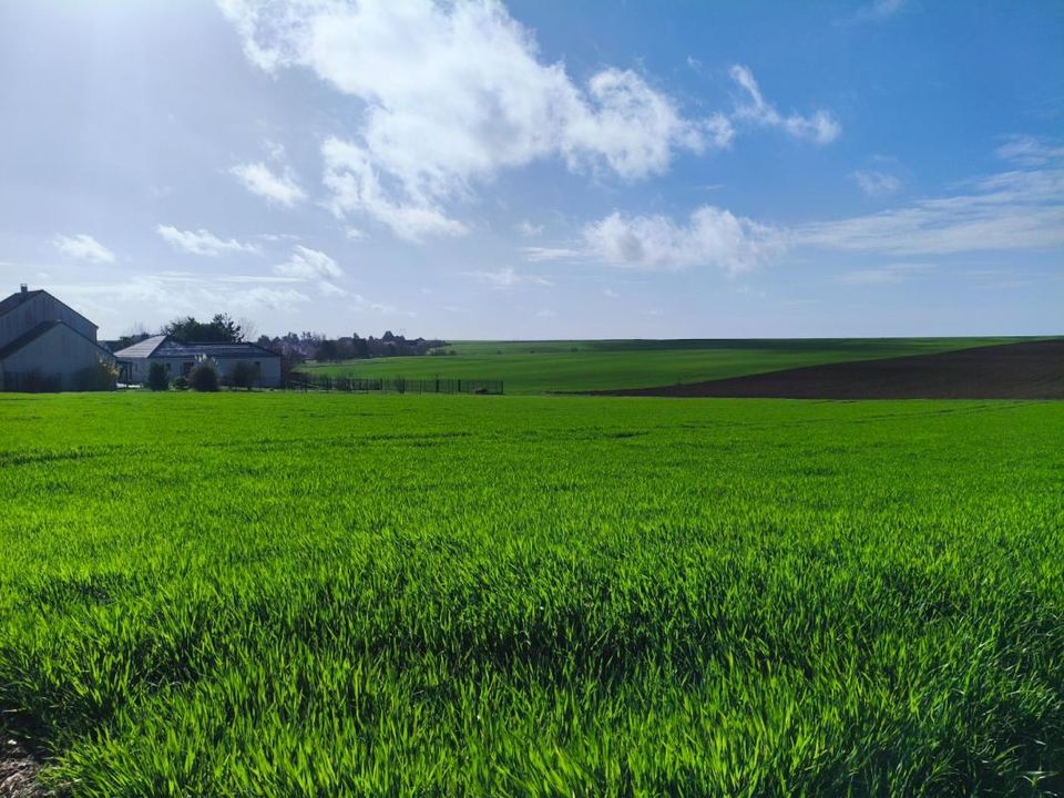 Helårsgrund i Vaudemange, Marne - foto 4