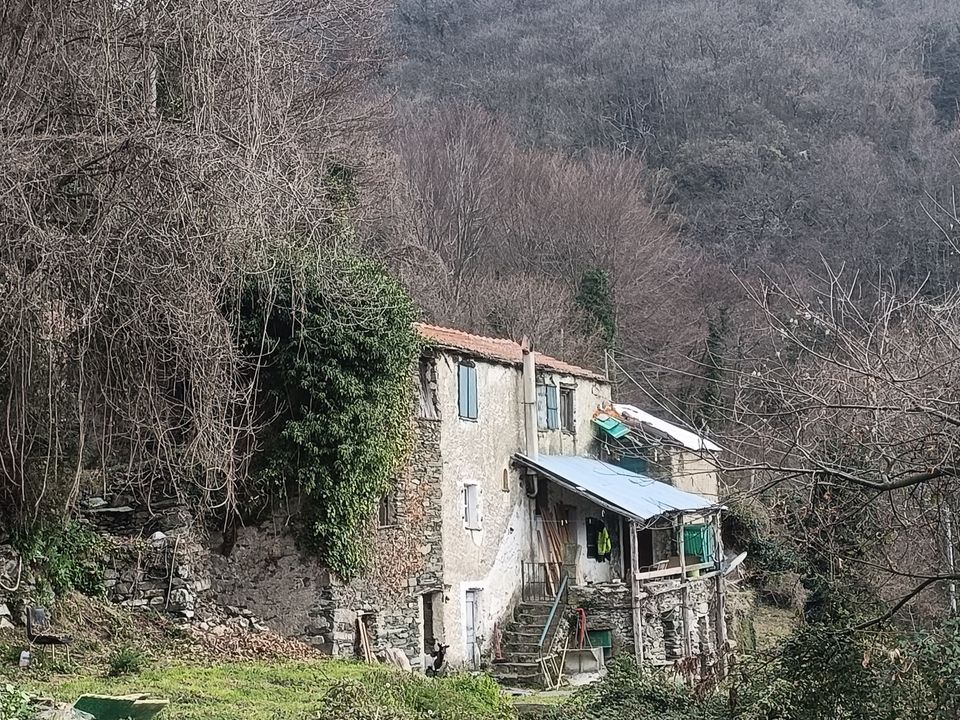 Villa i Varazze, Savona - foto 3
