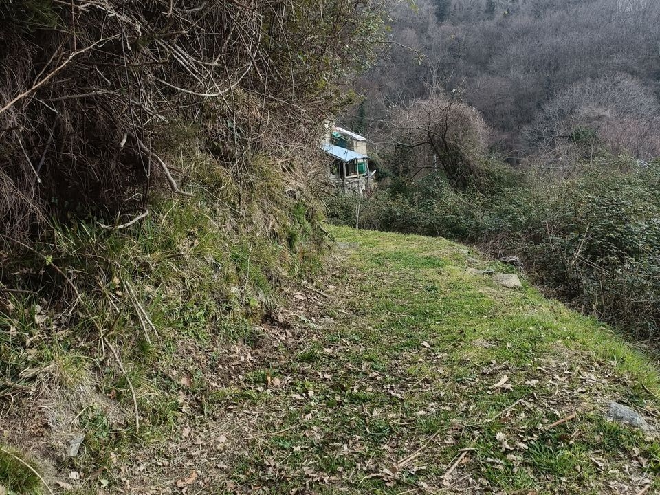 Villa i Varazze, Savona - foto 5
