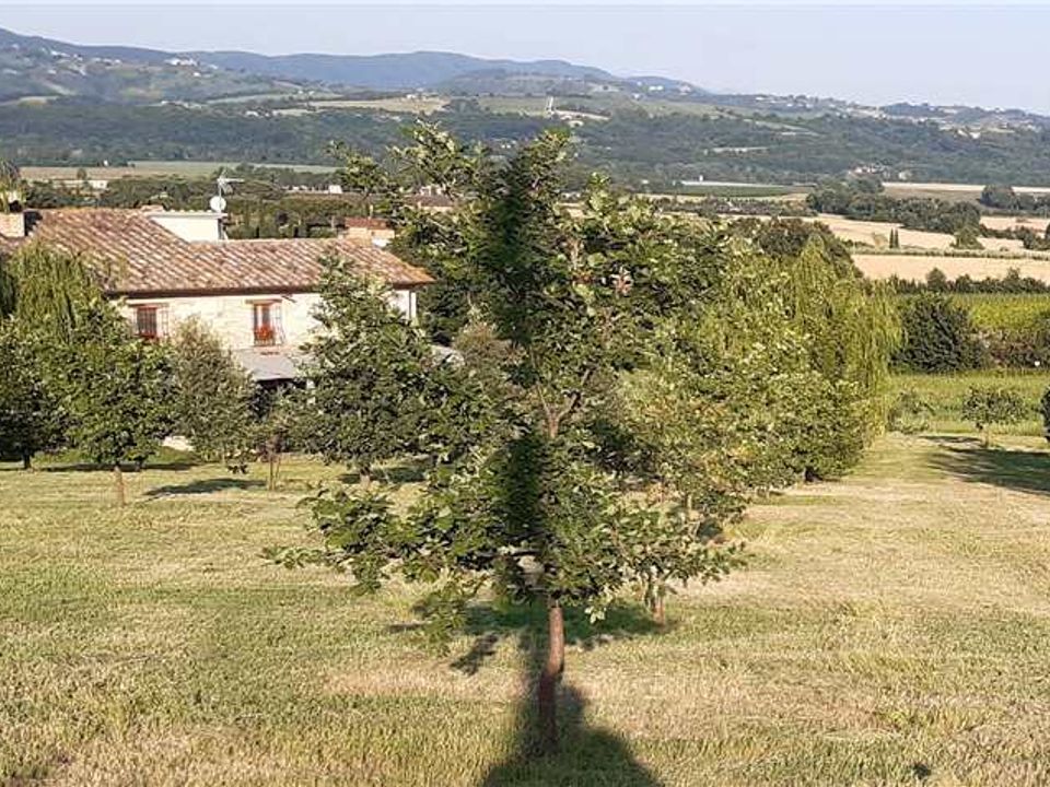 Landejendom i Marsciano, Perugia - foto 5