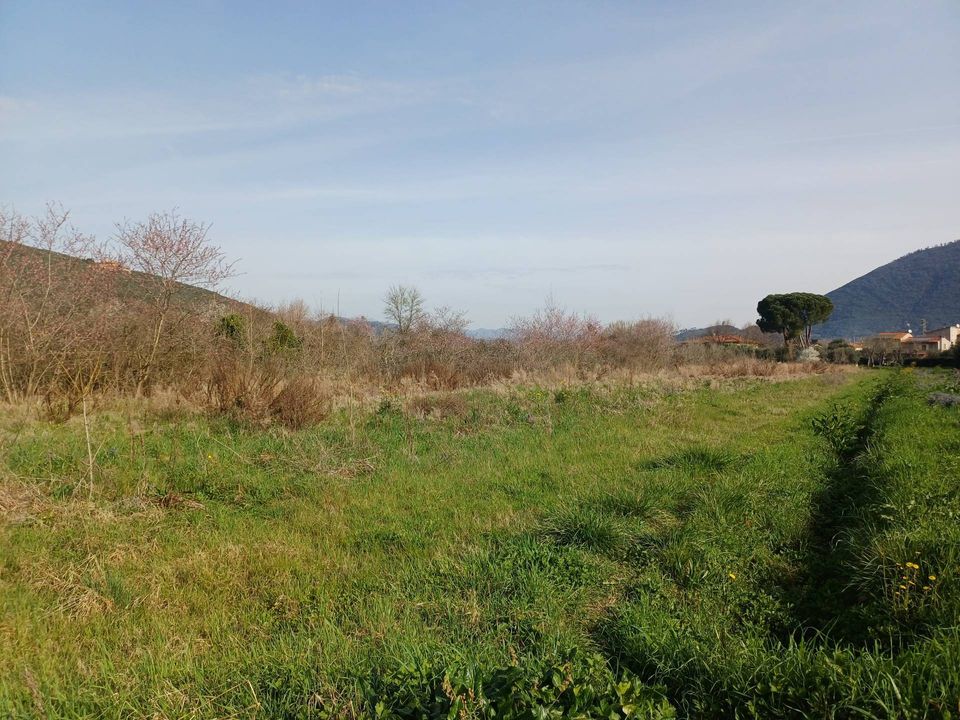Helårsgrund i Vecchiano, Pisa - foto 1