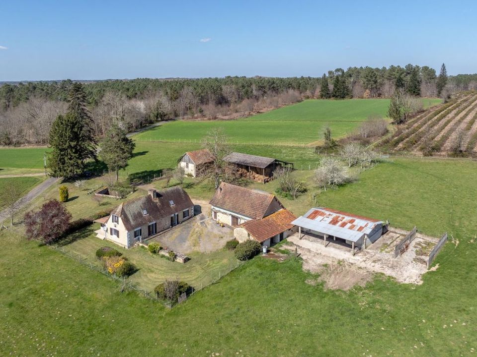 Farm hus i Perigueux, Dordogne - foto 3