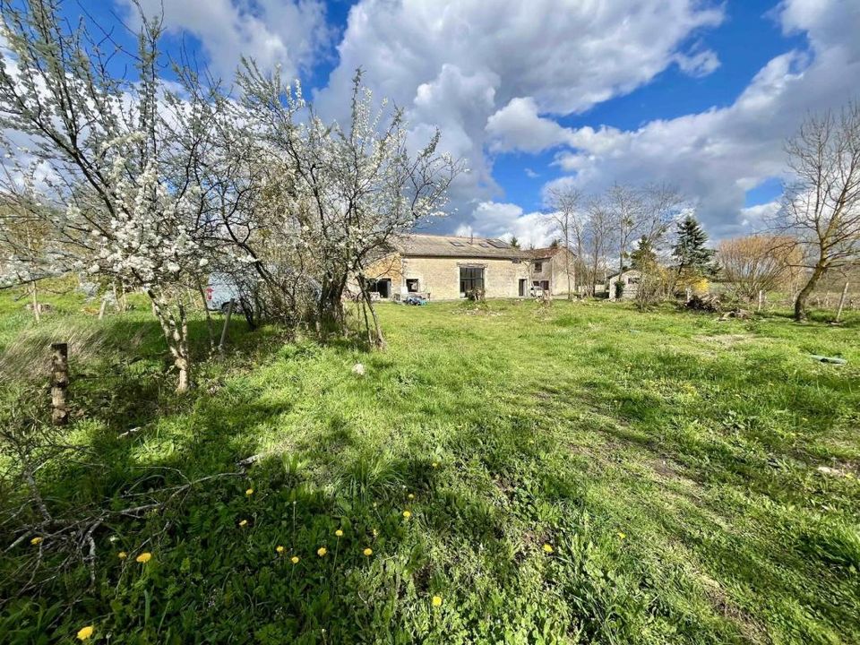 Villa i Saint-Martin-l'Ars, Vienne - foto 4