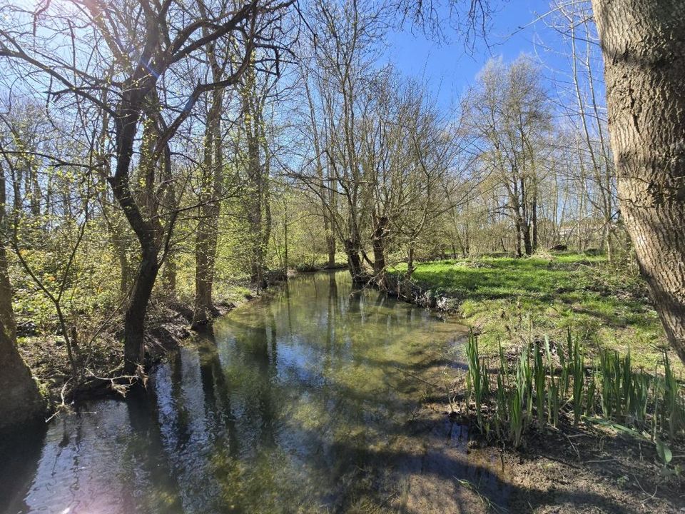 Villa i Saint-Pierre-de-Juillers, Charente-Maritime - foto 5