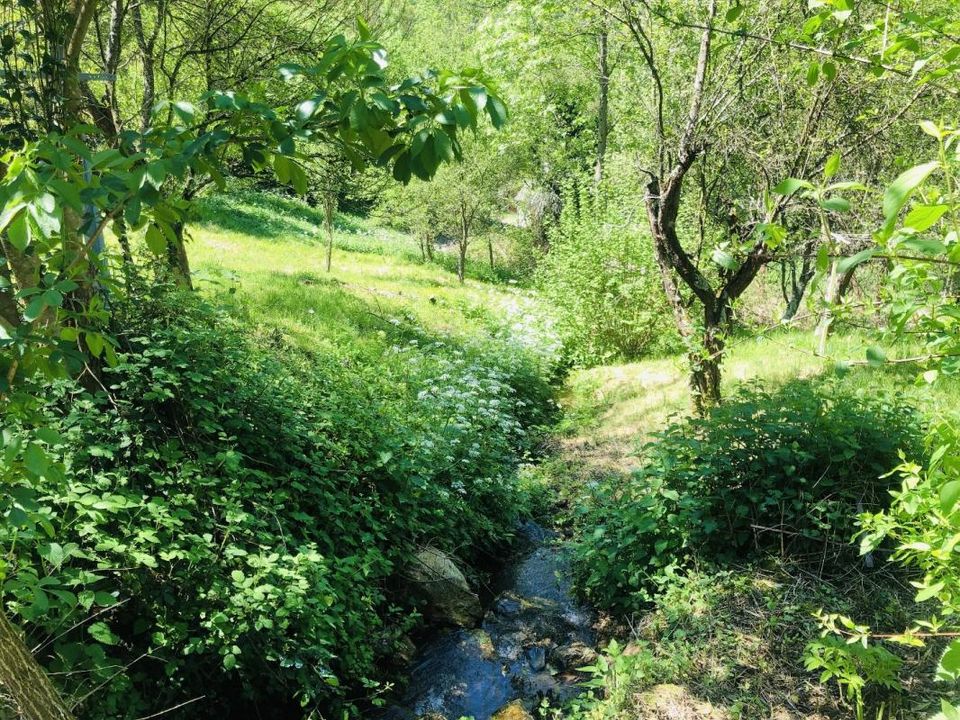 Villa i Saint-Lary, Ariege - foto 4