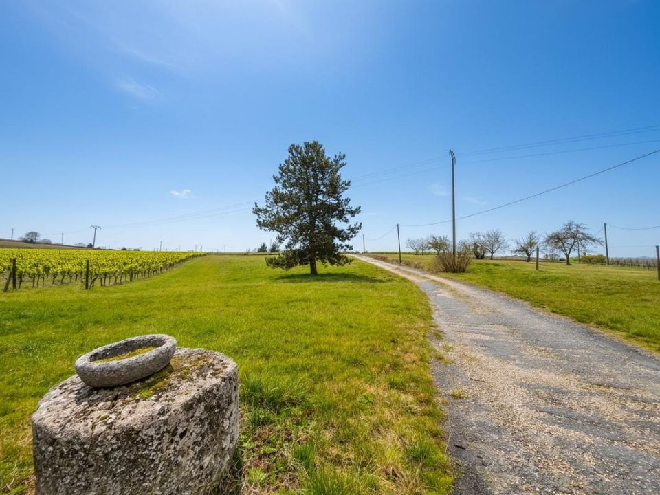 Landejendom i Pellegrue, Gironde - foto 2
