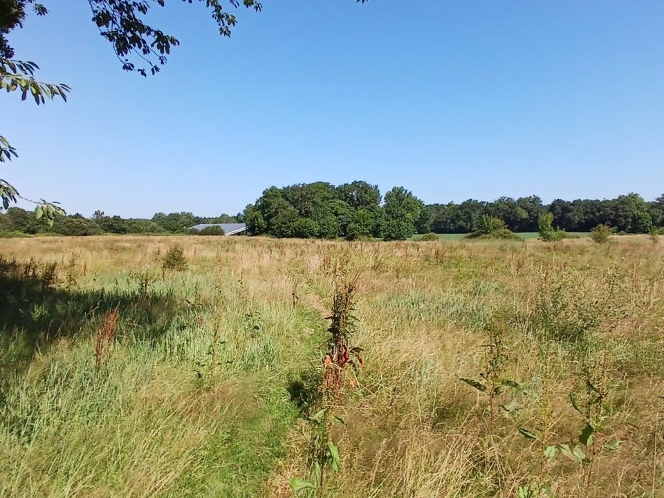 Landejendom i Mimbaste, Landes - foto 2
