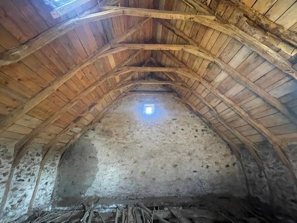 Farm hus i Anglards-de-Salers, Cantal - foto 5