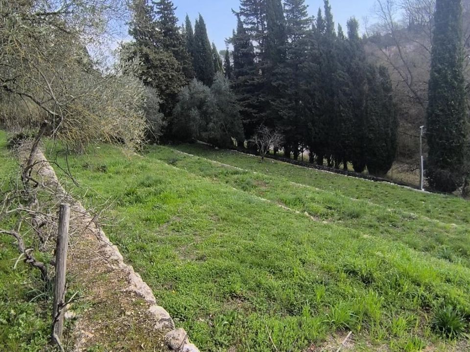 Helårsgrund i Valbonne, Alpes-Maritimes - foto 4