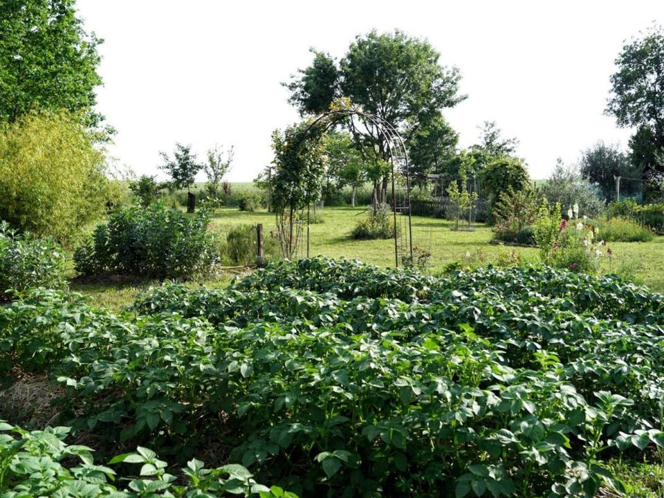 Landejendom i Fleurance, Gers - foto 5