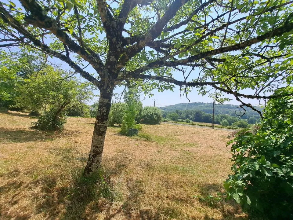 Landejendom i Segonzac, Charente - foto 4