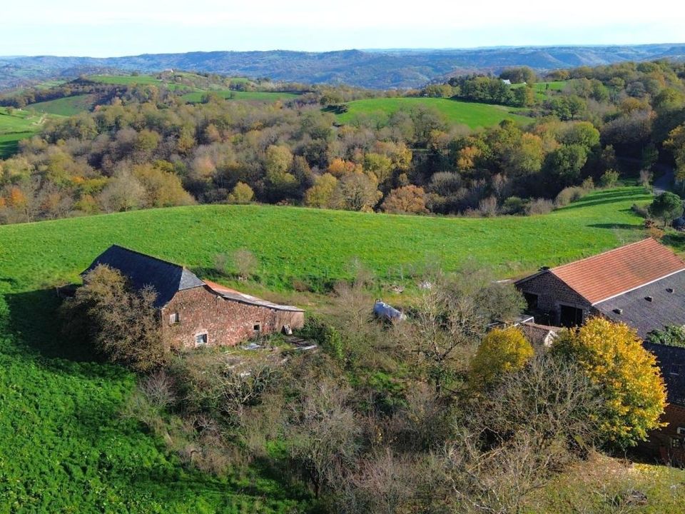 Masia a Saint-Cyprien-sur-Dourdou, Aveyron - foto 3