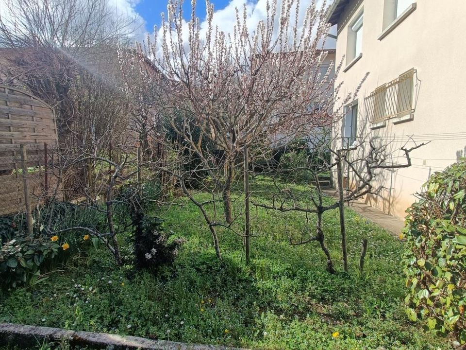 Leilighet i Millau, Aveyron - bilde 4