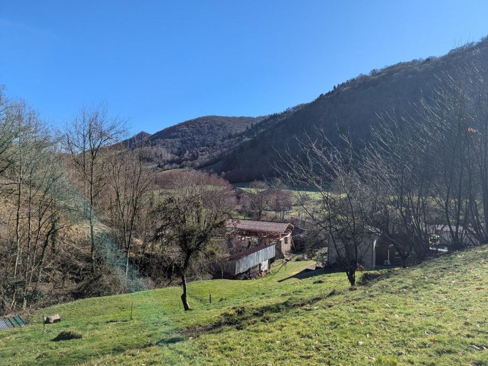 Landejendom i Nescus, Ariege - foto 1