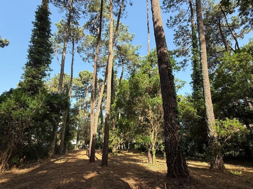 Helårsgrund i Soorts-Hossegor, Landes - foto 1