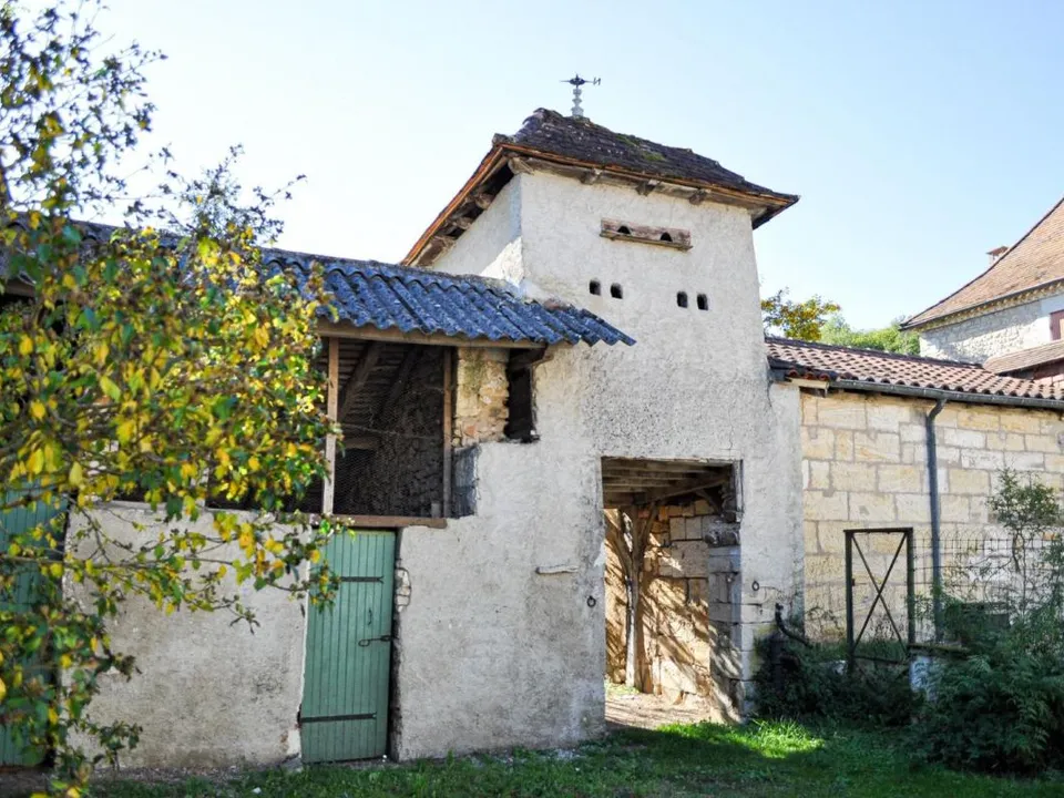 Landejendom i Savignac-les-Eglises, Dordogne - foto 2