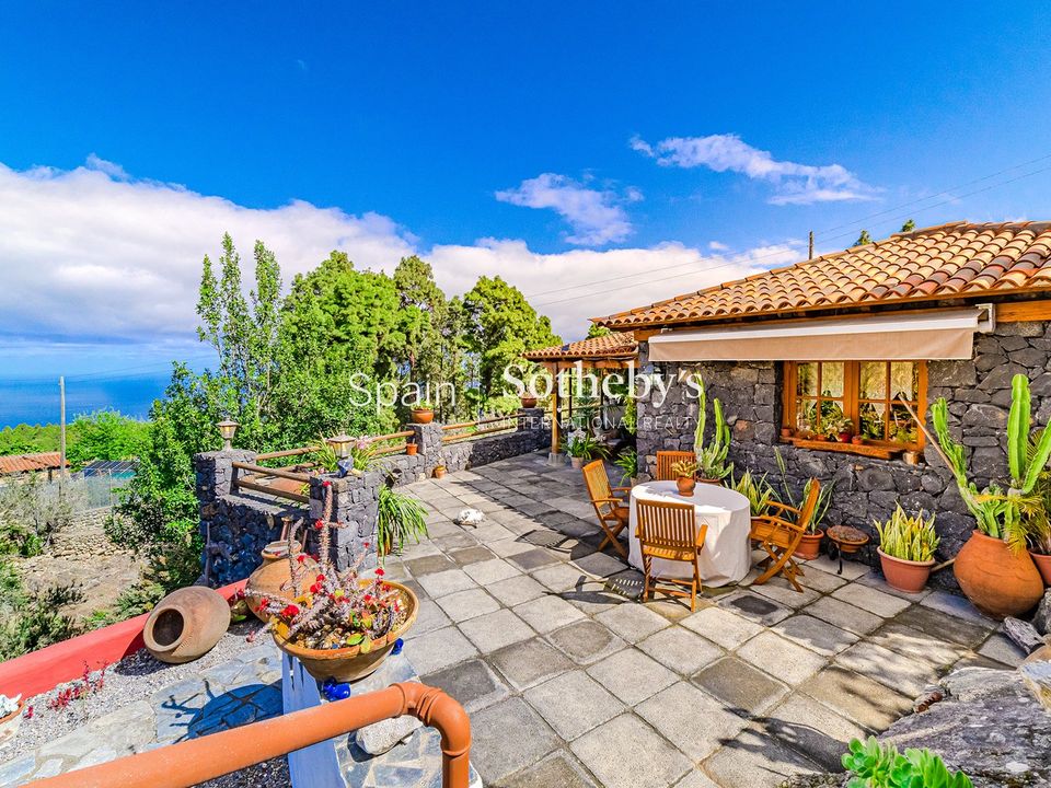 Farm i Icod de los Vinos, Tenerife - foto 1