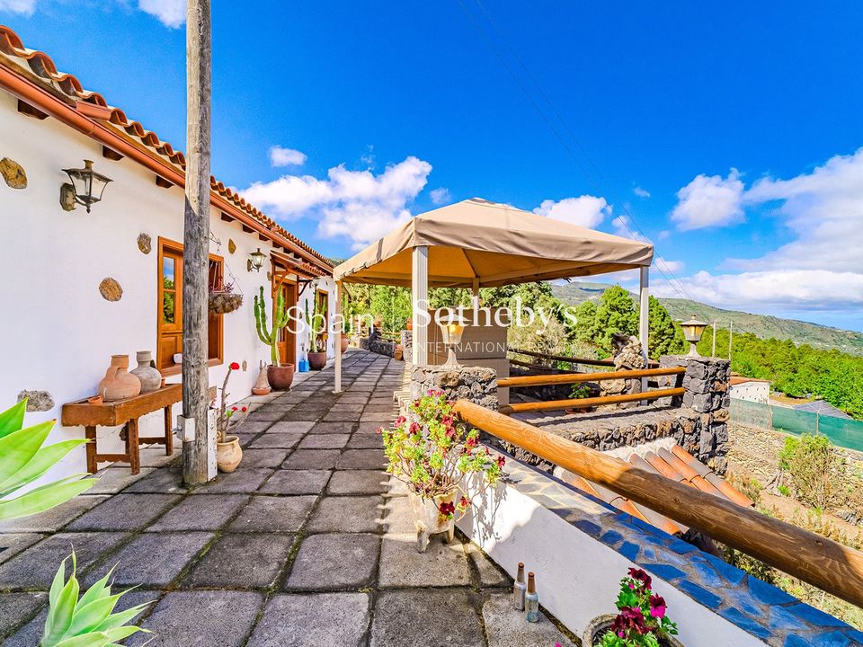Farm i Icod de los Vinos, Tenerife - foto 2
