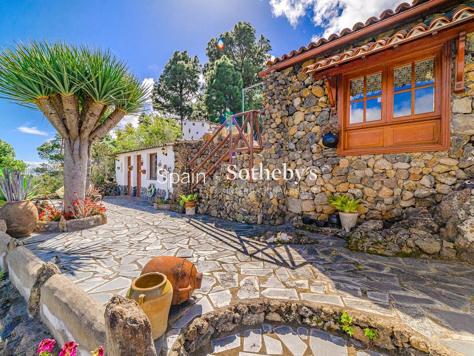 Farm i Icod de los Vinos, Tenerife - foto 3