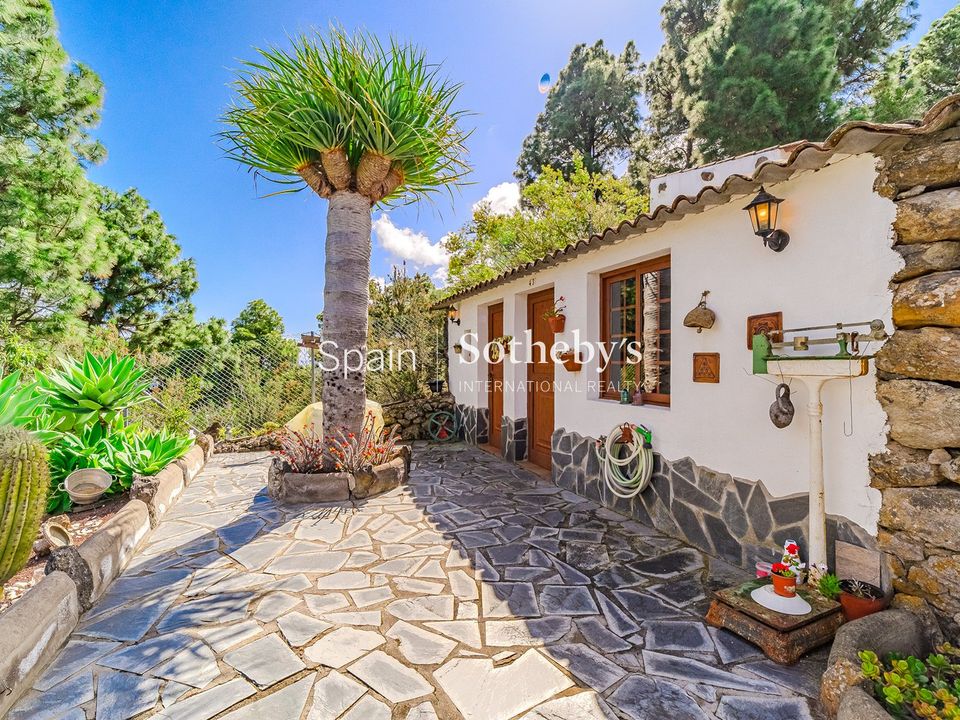 Farm i Icod de los Vinos, Tenerife - foto 4
