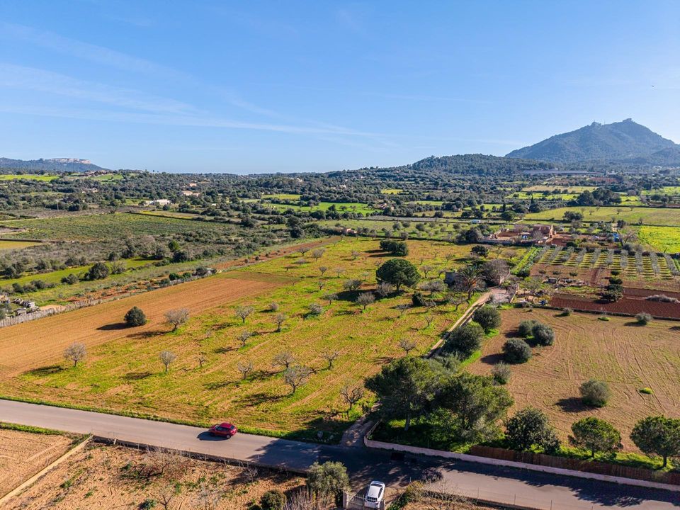 Helårsgrund i Felanitx, Mallorca - foto 1