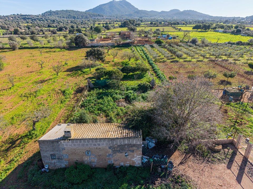 Helårsgrund i Felanitx, Mallorca - foto 4