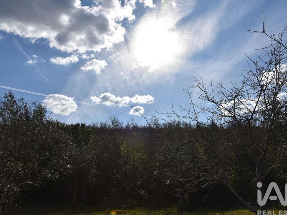 Helårsgrund i Ferreira do Zezere, Santarem - foto 4