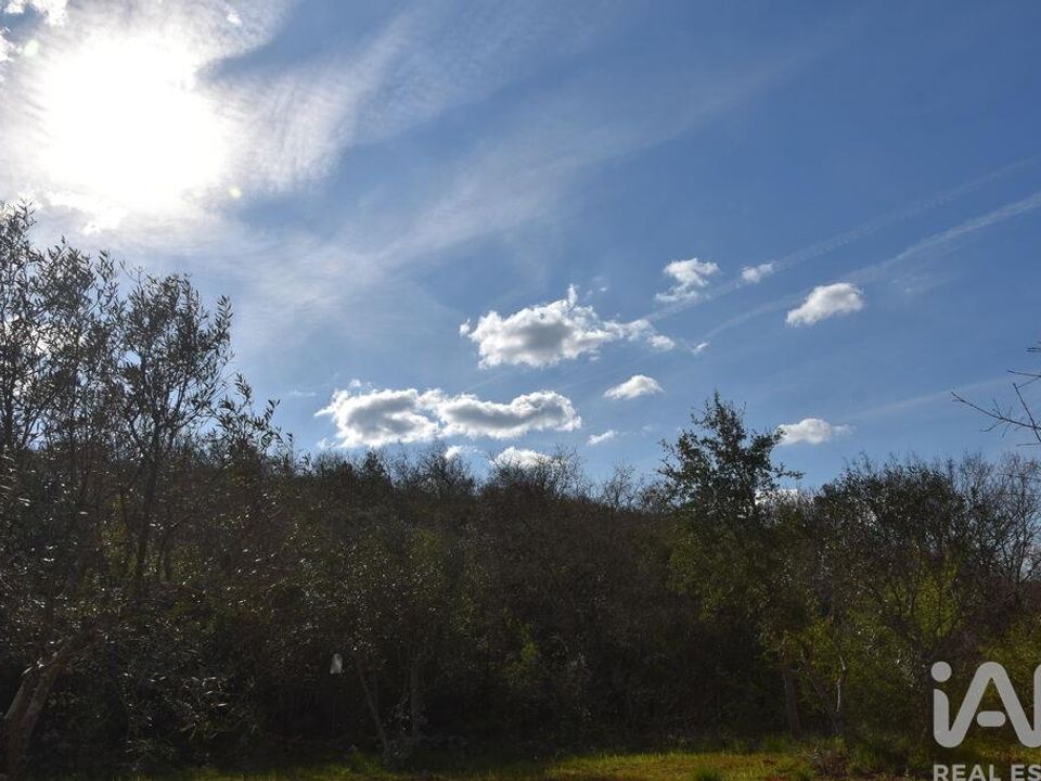Helårsgrund i Ferreira do Zezere, Santarem - foto 5