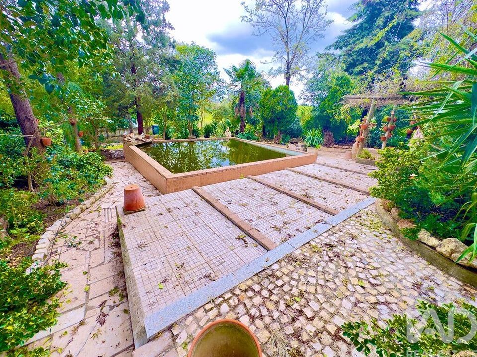 Land in Serpa, Beja - photo 2