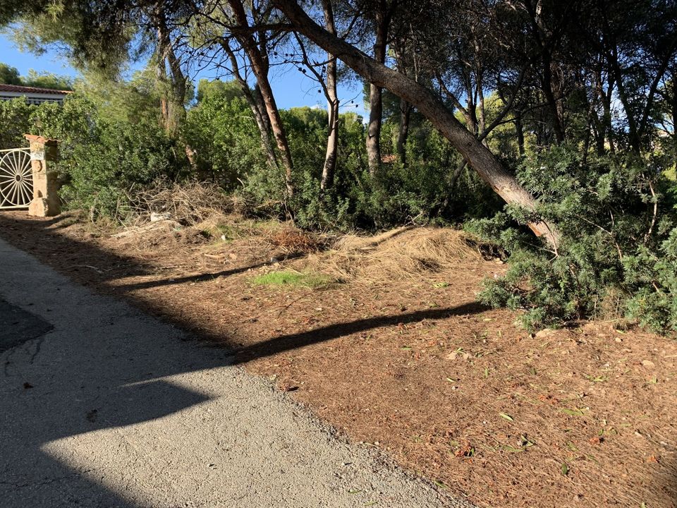 Helårsgrund i Moraira, Alicante - foto 3