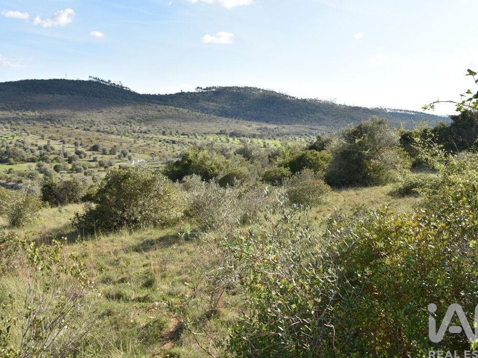 Tomt i Ferreira do Zezere, Santarem - bilde 1