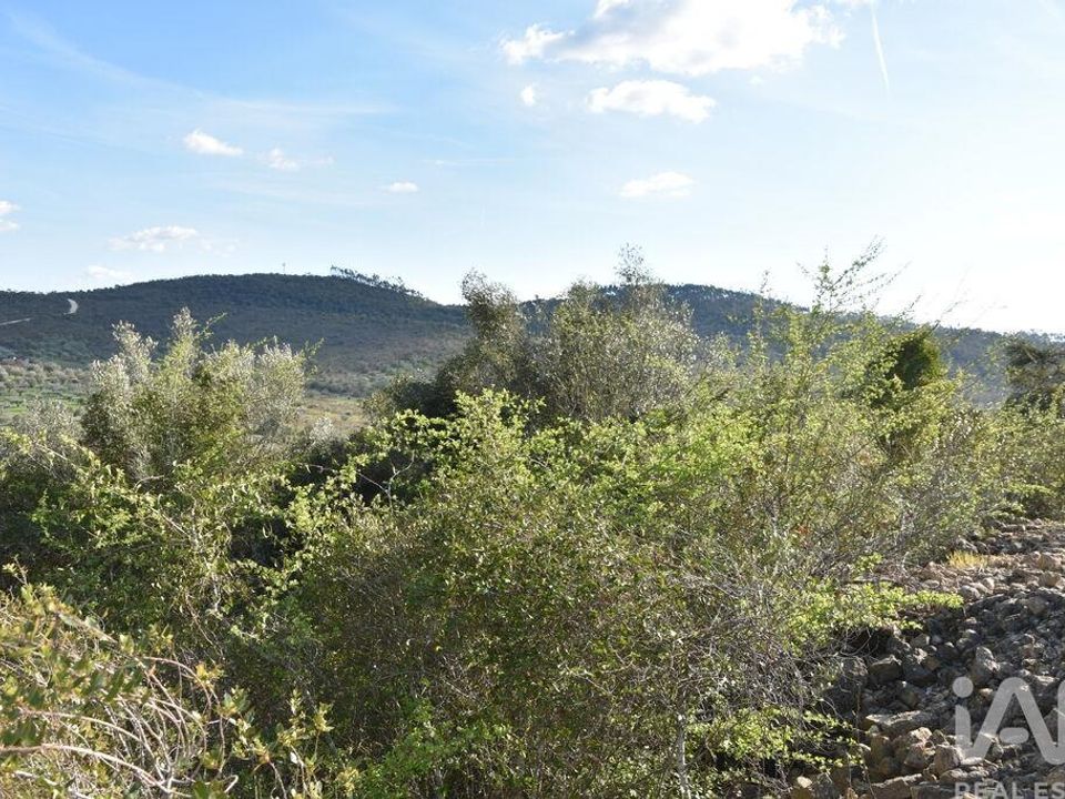 Tomt i Ferreira do Zezere, Santarem - bilde 3