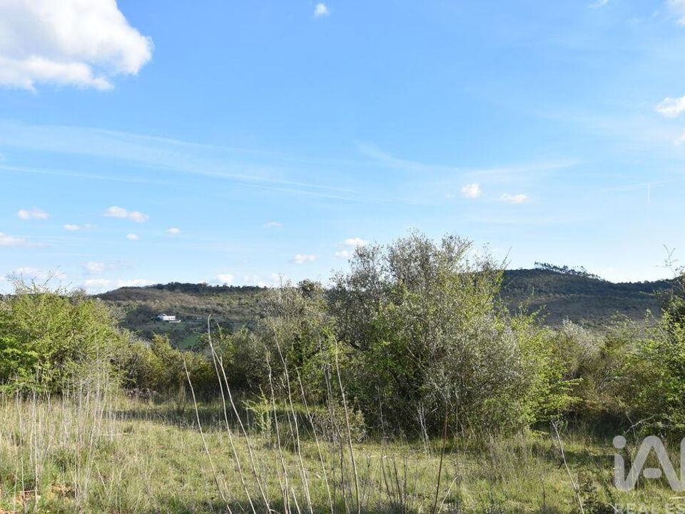 Tomt i Ferreira do Zezere, Santarem - bilde 4