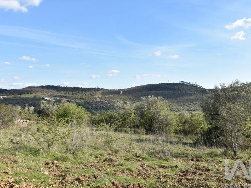 Tomt i Ferreira do Zezere, Santarem - bilde 5