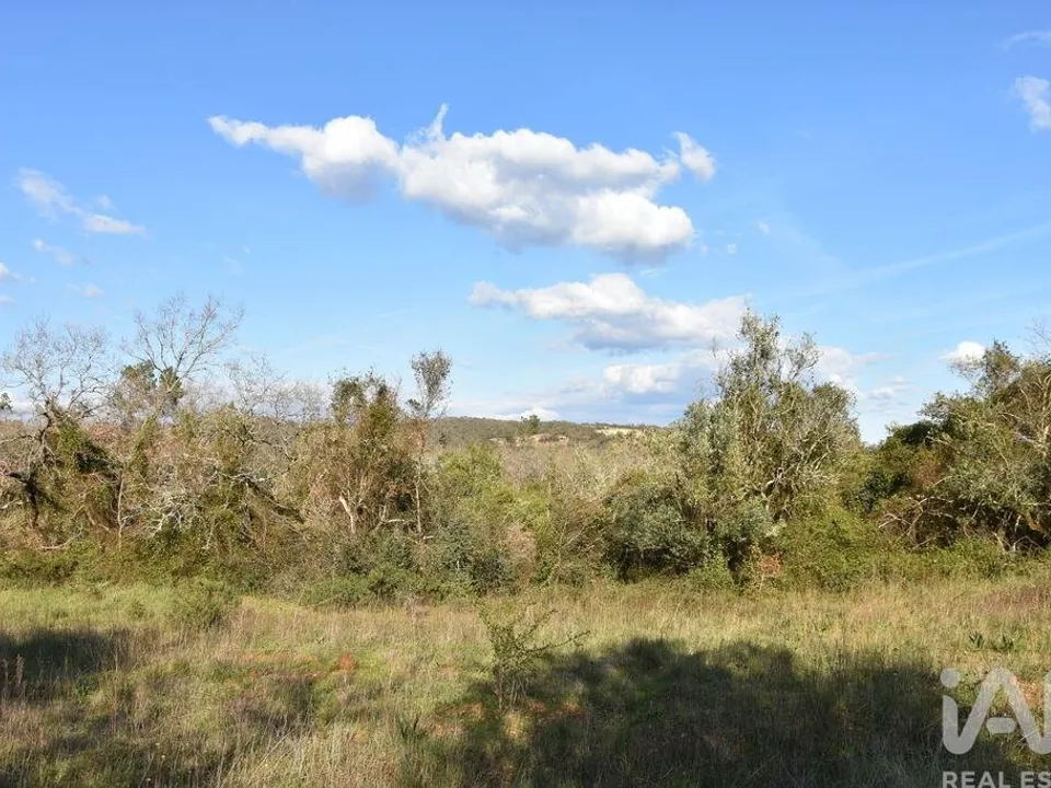 Helårsgrund i Ferreira do Zezere, Santarem - foto 1