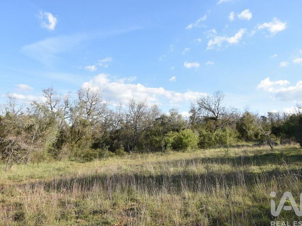 Helårsgrund i Ferreira do Zezere, Santarem - foto 3