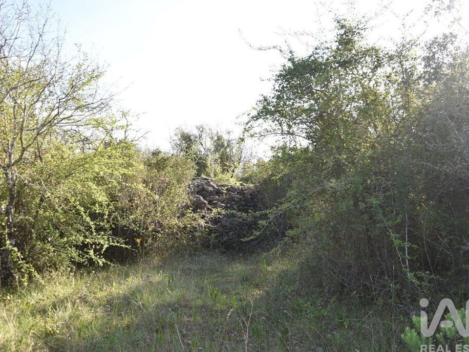 Helårsgrund i Ferreira do Zezere, Santarem - foto 4