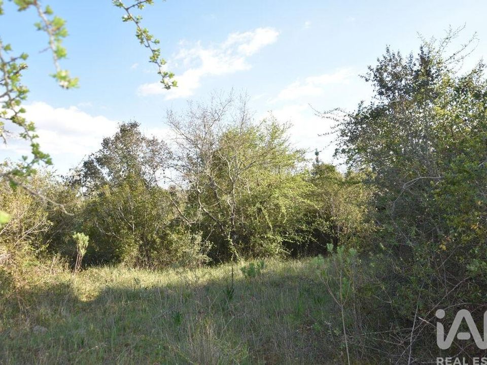 Helårsgrund i Ferreira do Zezere, Santarem - foto 5