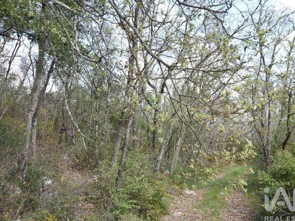 Helårsgrund i Ferreira do Zezere, Santarem - foto 1