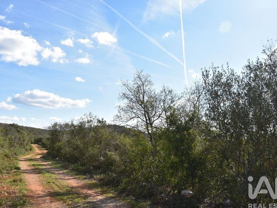 Helårsgrund i Ferreira do Zezere, Santarem - foto 3
