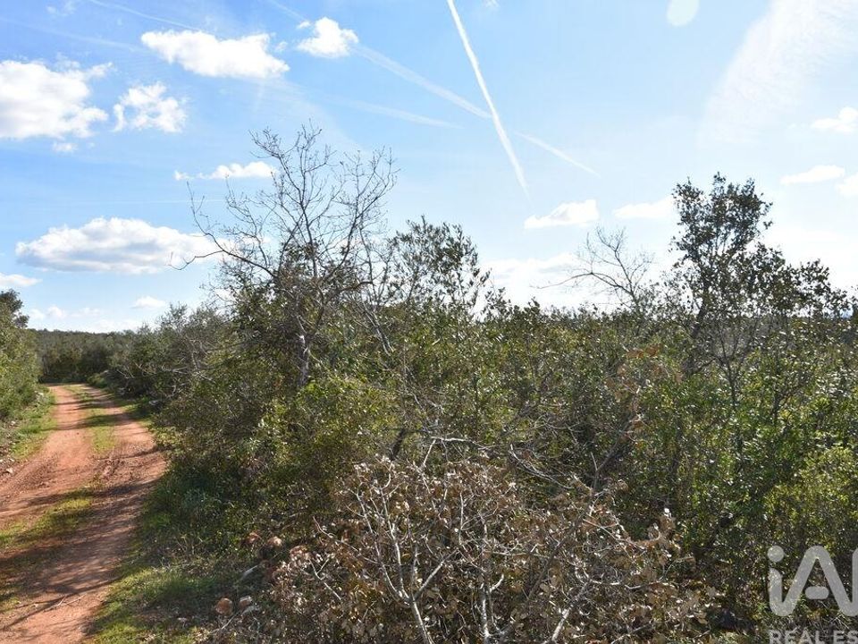 Helårsgrund i Ferreira do Zezere, Santarem - foto 4