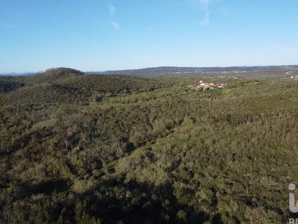 Helårsgrund i Ferreira do Zezere, Santarem - foto 2
