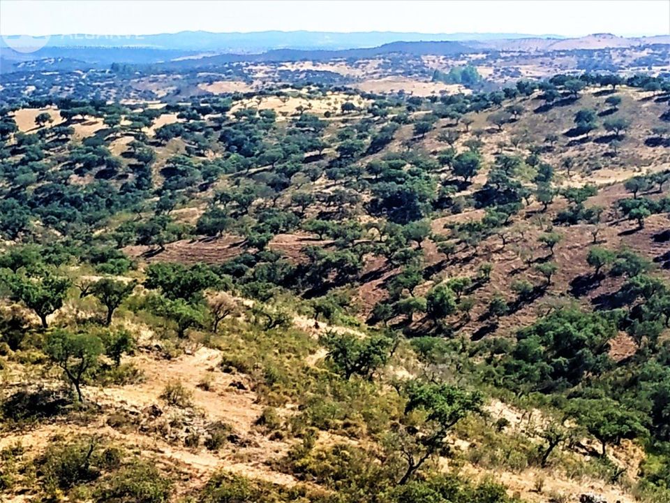 Farm hus i Mertola, Beja - foto 2