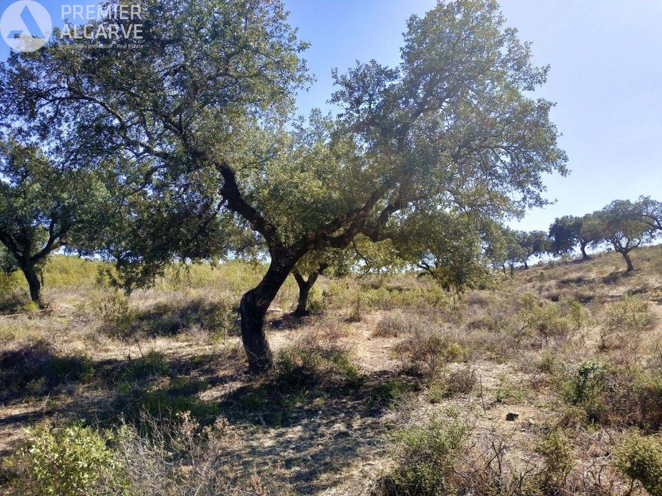 Farm hus i Mertola, Beja - foto 3